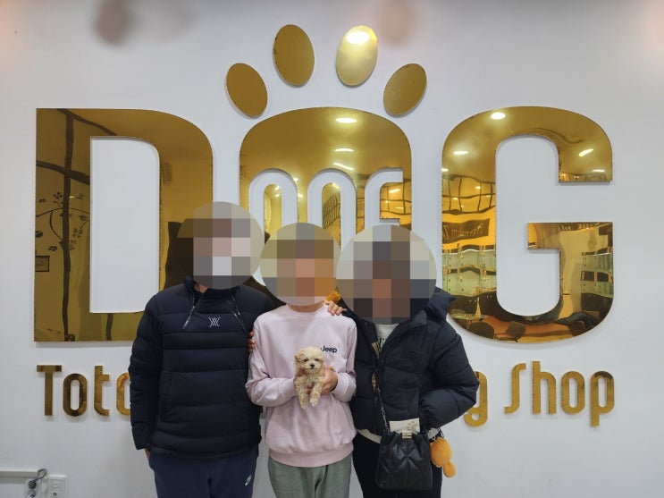  6학년 아들과 말티푸 강아지 입양 후기 ,  세종  원독 애견분양 센터