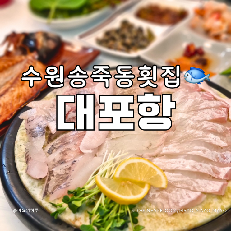  수원 송죽동횟집 대포항 장안구청맛집 로컬찐맛집