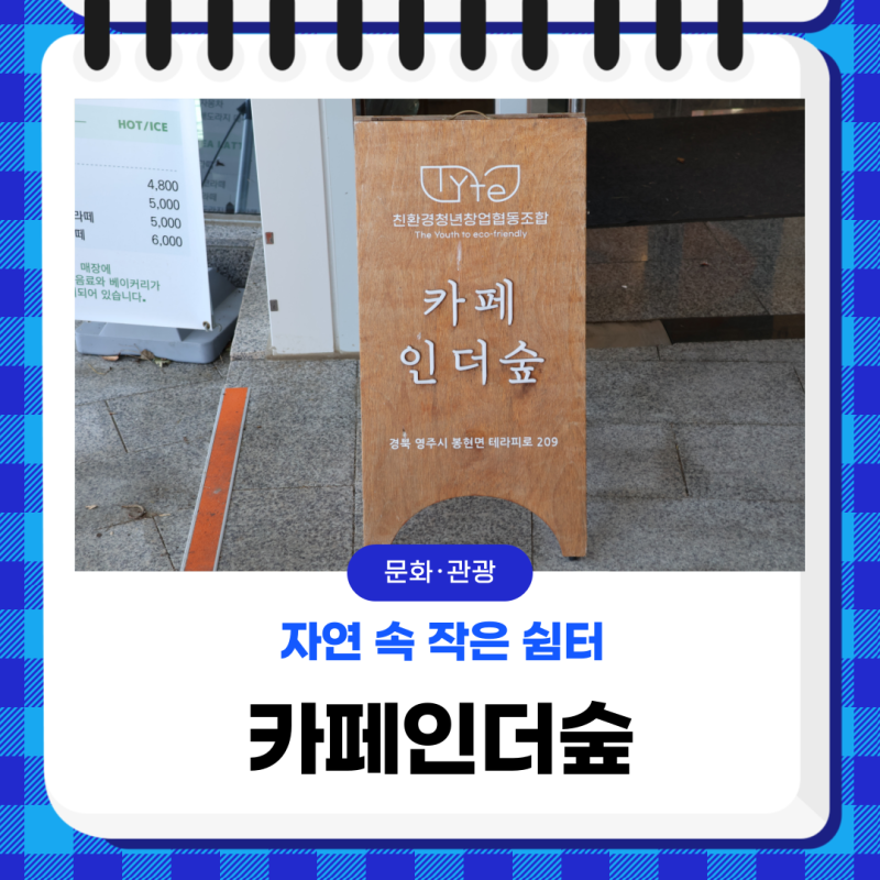사진 3