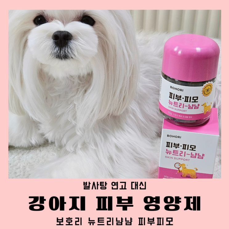  강아지 발사탕 못하게 연고 대신 피부영양제 피부피모 뉴트리냠냠 2.0