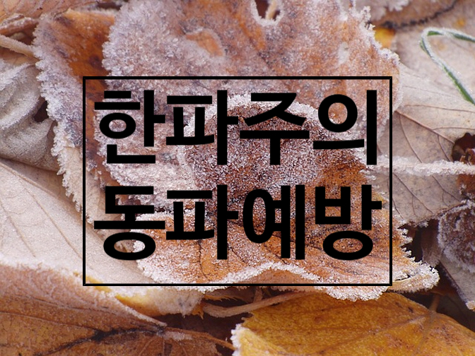  겨울철 집 관리의 핵심, 동파 예방! 이것만 알면 당신도 동파 방지 전문가