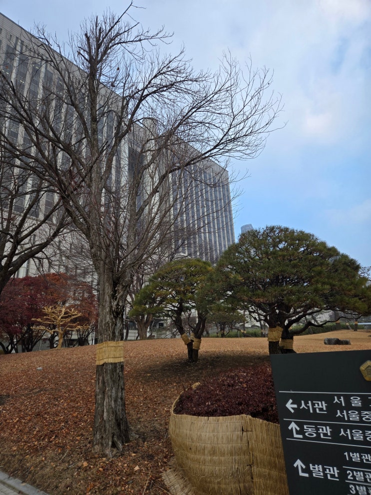 [변론기일]서울중앙지방법원 민사재판 기일
