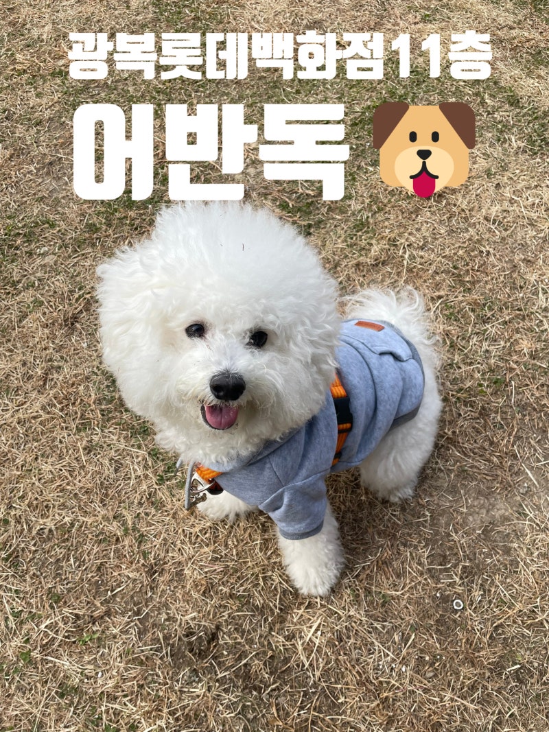 사진 2