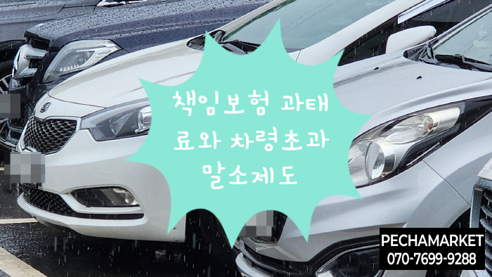  책임보험 과태료와 차령초과말소제도