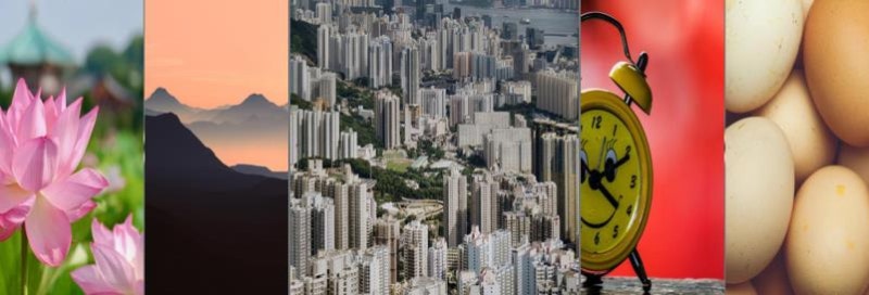 큰무 꿈해몽 정보 확실히 알아보기
