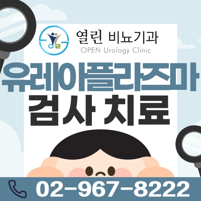 std ureaplasmaparvum 유레아플라즈마균 검사치료