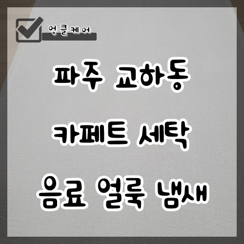  카페트 세탁 음료 자국 제거 얼룩 냄새 제거 파주 교하동