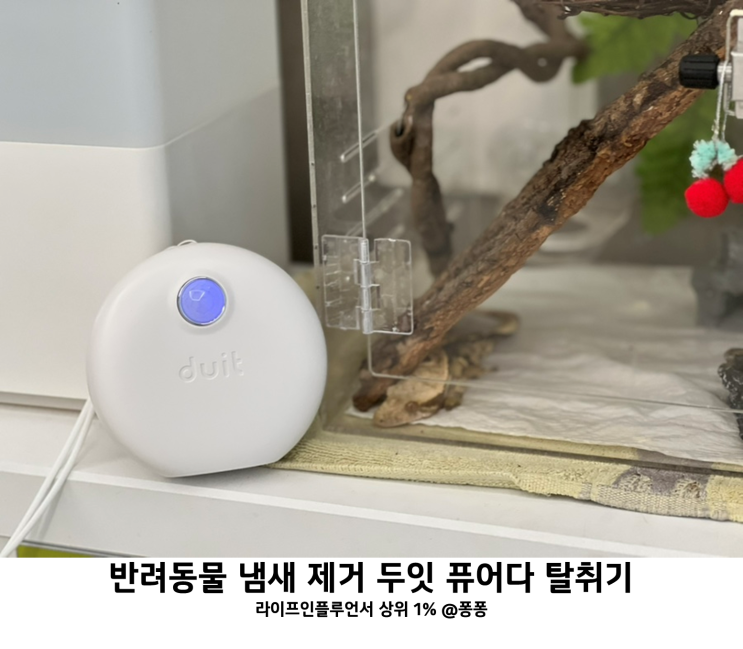  화장실 신발장 집냄새 탈취제 두잇 퓨어다 자동 냄새 탈취기 강아지 고양이 오줌 냄새 제거 효과