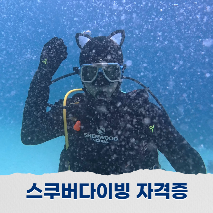  스쿠버다이빙 자격증 종류 가격 및 기간