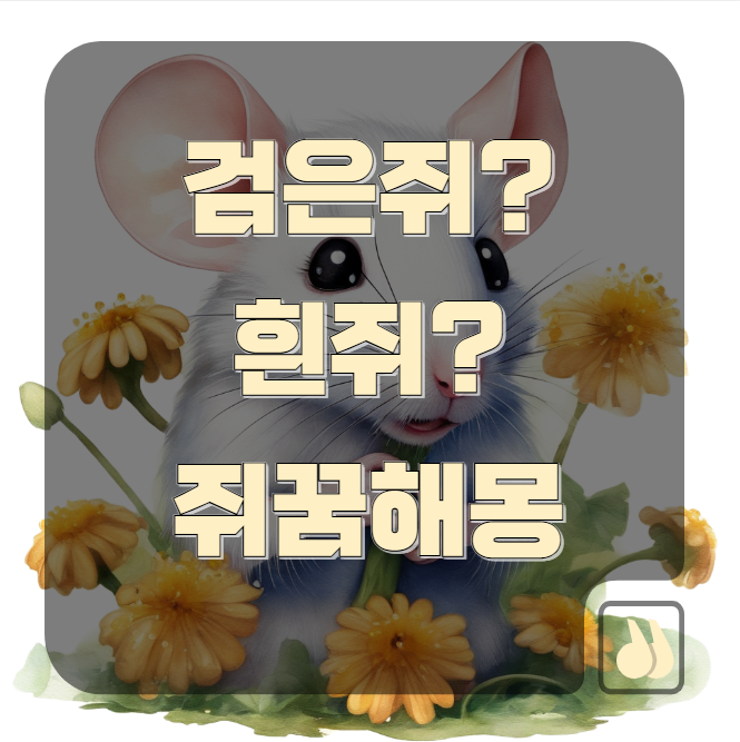 검은쥐 vs 흰쥐, 쥐꿈해몽으로 보는 길몽과 흉몽