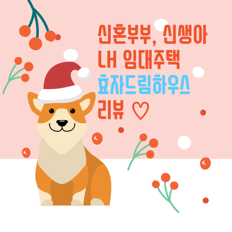  신혼부부 LH 임대주택 효자드림하우스 리뷰