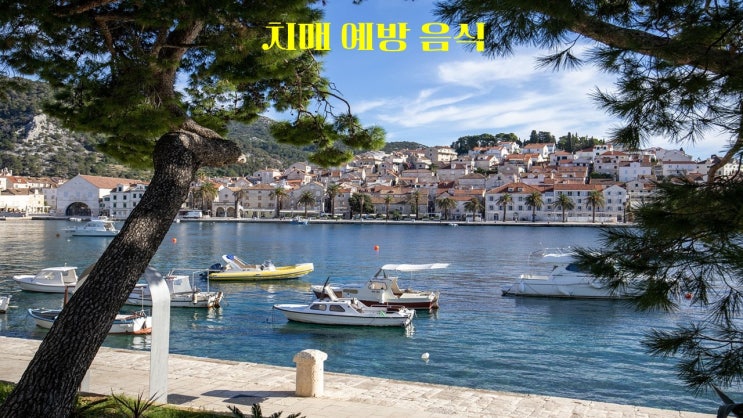  치매 예방 음식