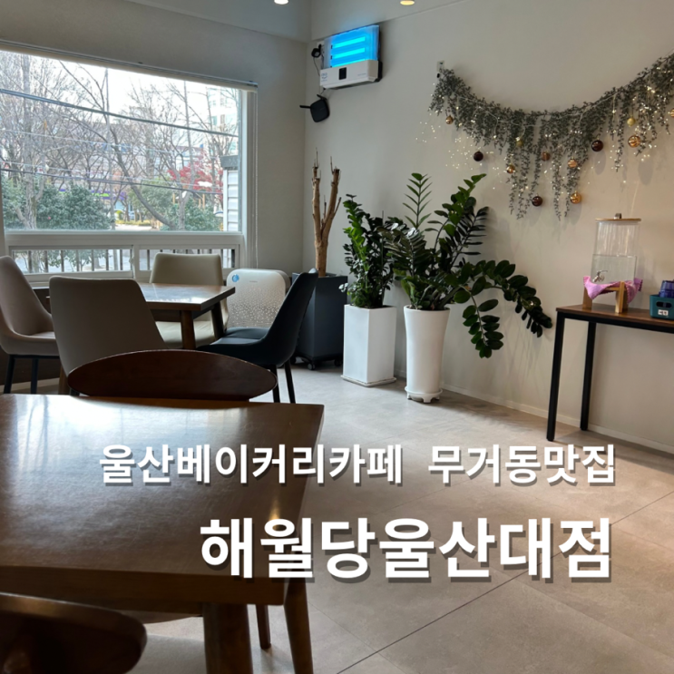  울산 무거동 카페 해월당  조용한 분위기 베이커리 맛집