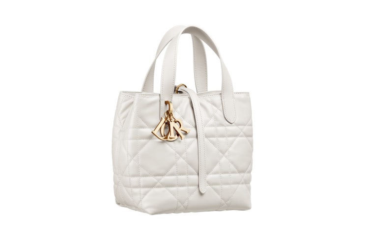  피플게이트 : 디올, 독특한 세로 디자인이 돋보이는 디올 뚜주흐(Dior Toujours) 백 공개