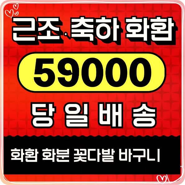  꽃배달택배 비용 싼곳 예약 사이트 근처꽃집 찾으신다면