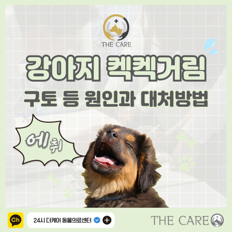 강아지 켁켁거림 구토 원인과 대처방법