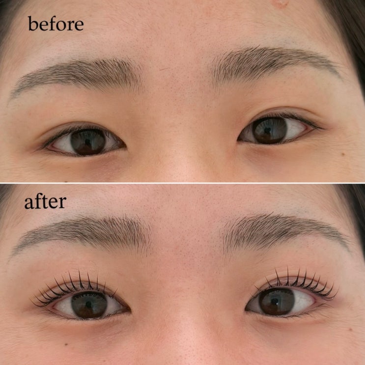  의정부 속눈썹 펌 잘하는 곳 의정부 페이스왁싱 [아르왁싱]
