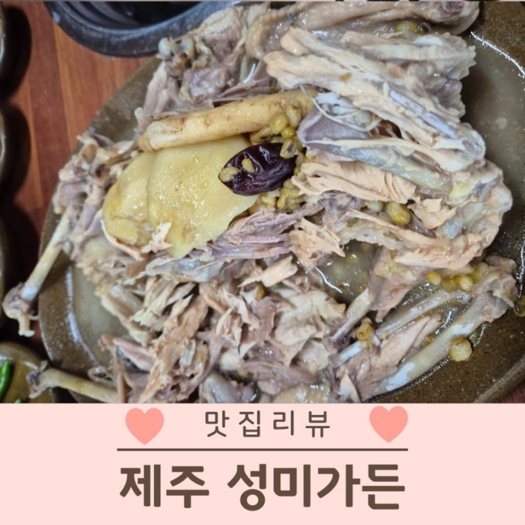  제주 성미가든 닭샤브샤브 아이랑 가볼만한 현지인 맛집
