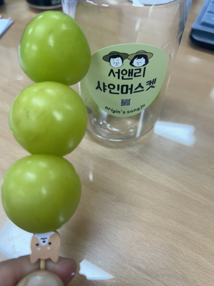 사무실에서 간편하게 즐기는 상콤달콤 캔과일 <서앤리 샤인머스캣>