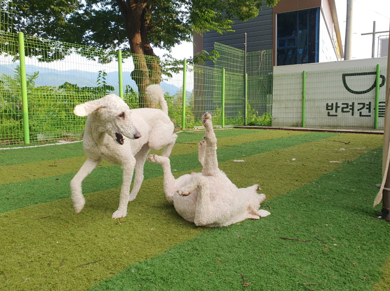 사진 3
