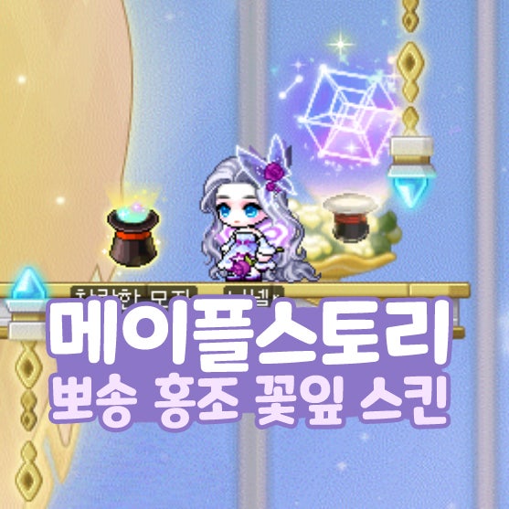  메이플 뽀송 홍조 꽃잎 스킨 교환권 비교 선택