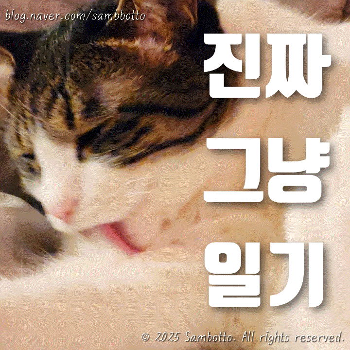  진짜 그냥 일기 | 대만 출장 준비 | 보온도시락 싸기 | 배숙 끓이기 | 나가타니엔 오차즈케