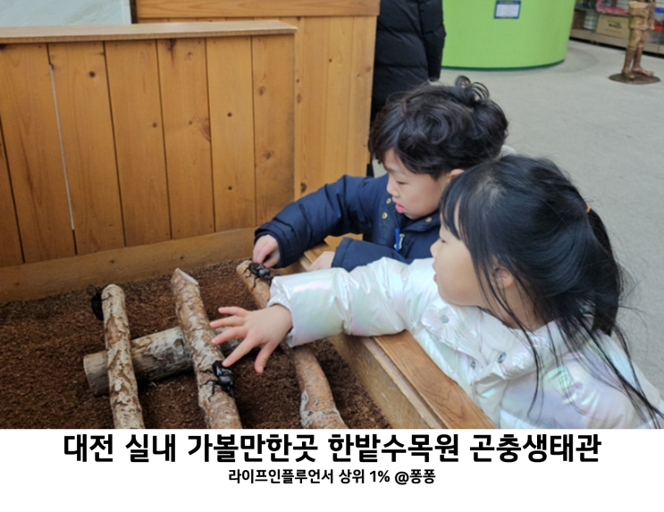 대전 겨울 실내 아기랑 갈만한곳 곤충생태관 한밭수목원 곤충박물관 추천