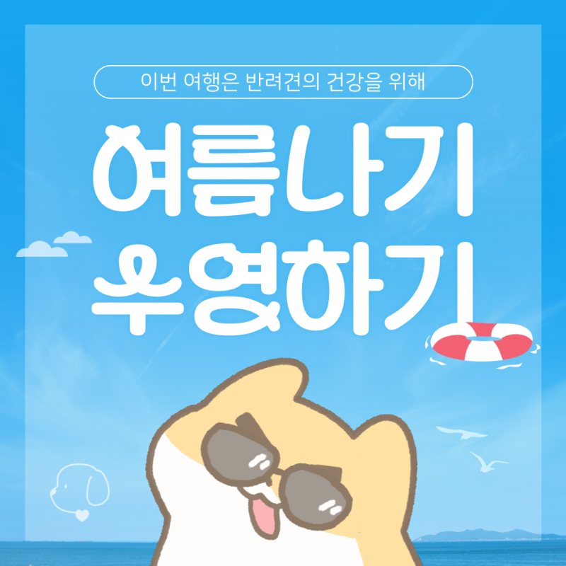 사진 2