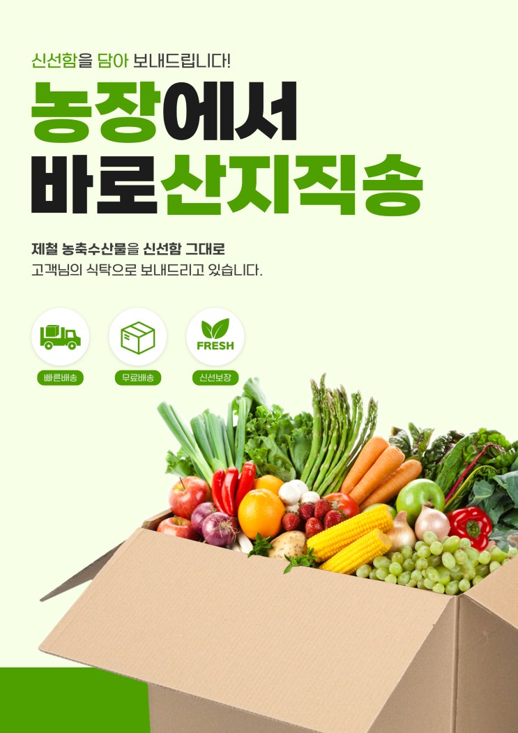  초고당도 제주 타이벡 감귤 – 연말선물로 딱