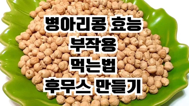  병아리콩 효능 부작용 먹는법 10 후무스만들기