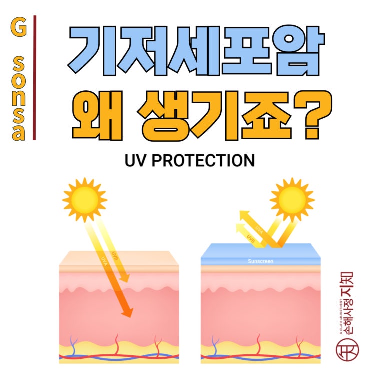  DNA 손상과 기저세포암, 자외선이 피부에 남긴 흔적 - [피부암 보상법, 3부]