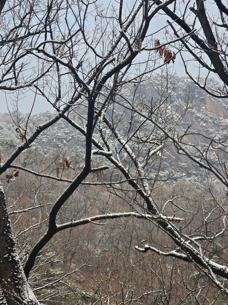  대흥역 사주 묵언도사 토끼 점집 1년 지난 공수 후기