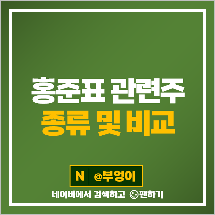 홍준표 관련주 정치 테마주 대장주 한국선재 주식 DSR KNN 주가 홍준표 관련주 정치 테마주 대장주 한국선재 주식 DSR KNN 주가