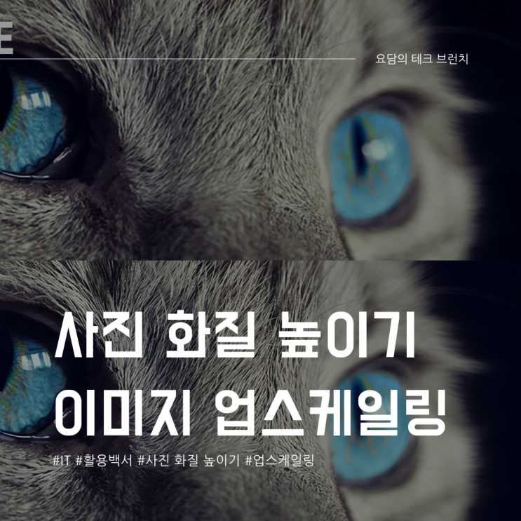  사진 화질 높이기 이미지 업스케일링 사이트 활용