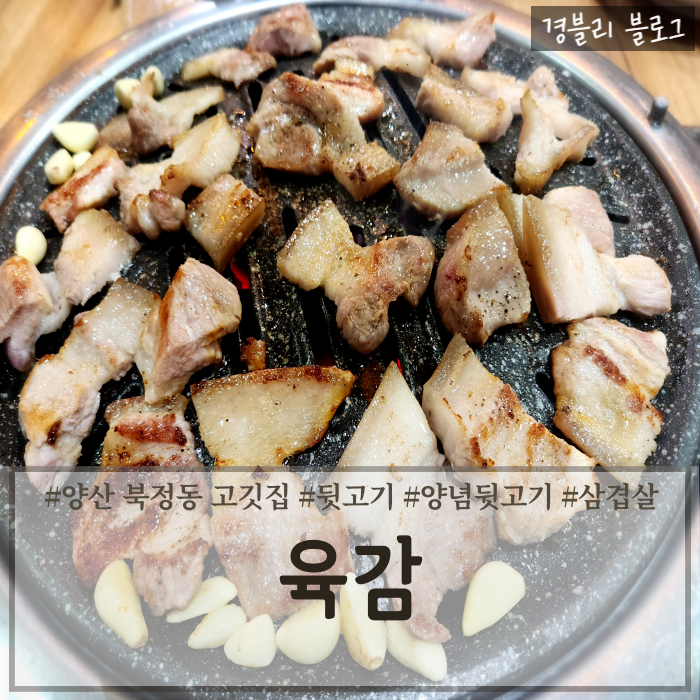  양산북정동맛집 가성비좋은 북정동 고깃집 뒷고기맛집 '육감'