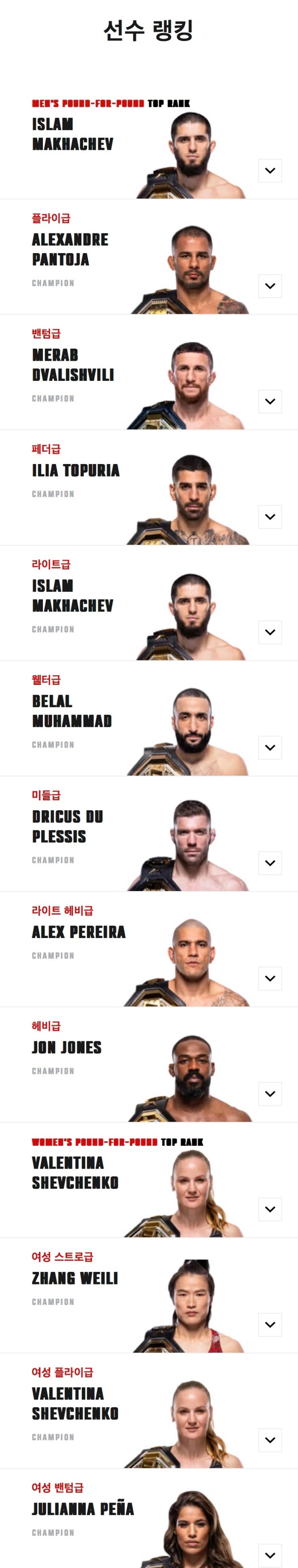  2024년 UFC 체급별 챔피언 명단 