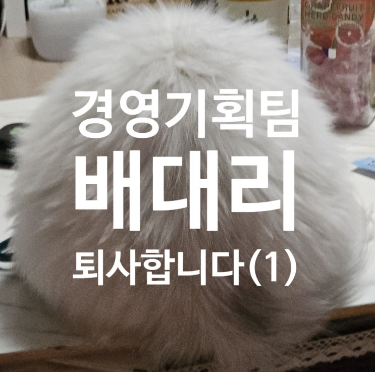  [240108] 갱수기의 퇴사 대작전 1탄