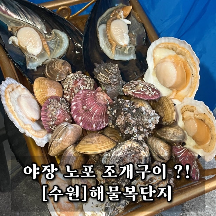  수원 세류동 겨울 노포 야장 조개구이 느좋 포장마차 해물복단지