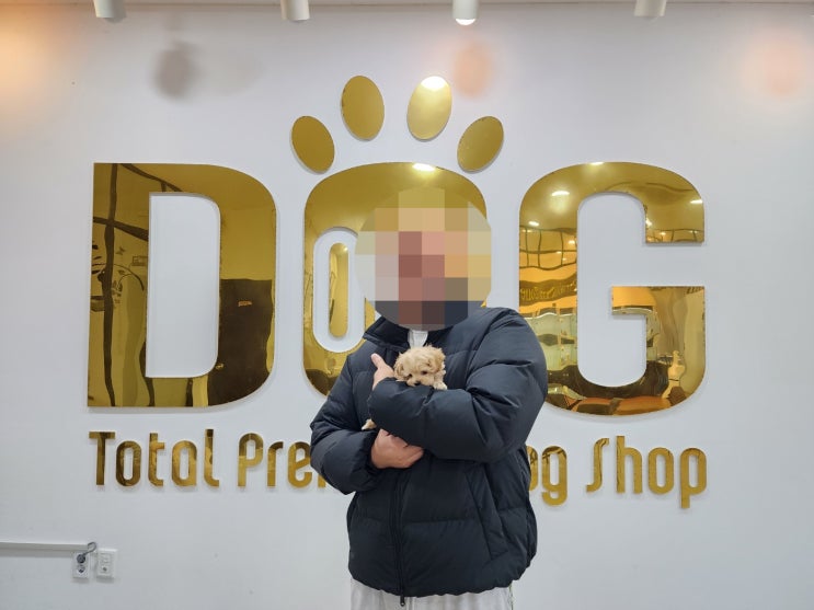  세종시 강아지 말티푸 분양 , 어머님과 특별한 인연을 만든 원독 이야기