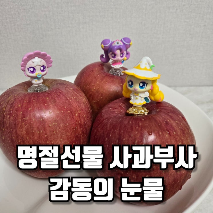 명절선물 사과부사 감동의 눈물