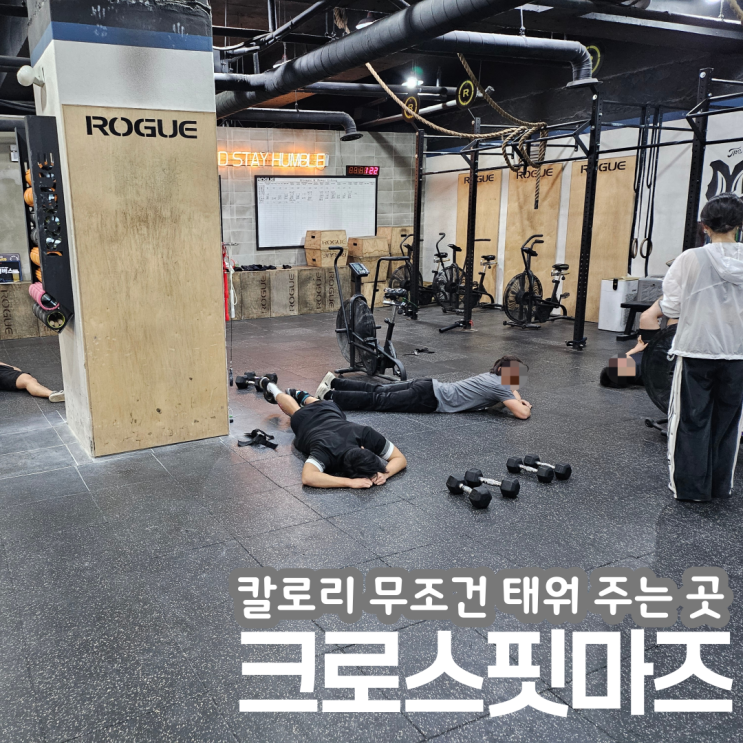 대구 침산동 크로스핏 마즈 : 마른비만 다이어트 파워리프팅 센터