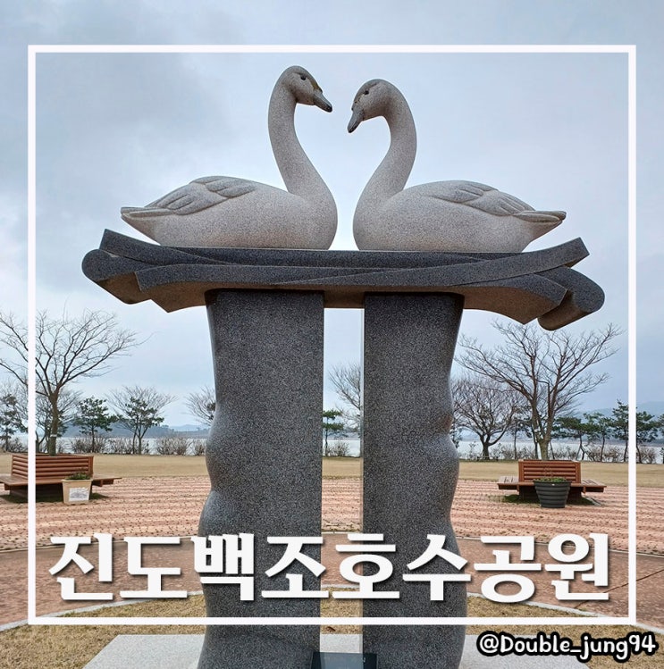  전남 진도 아이들과 놀기 좋은 잔디 공원 진도백조호수공원