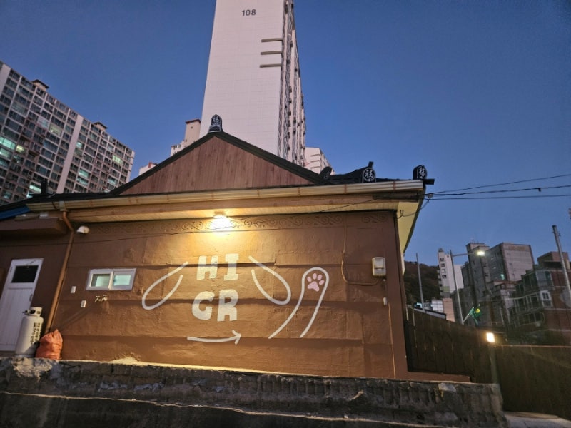하이그룸 강아지 유치원 호텔