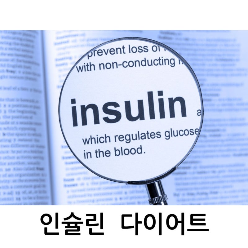 혈당관리 다이어트에 유사나 뉴트리밀과 화이버지 식단 추천 (비만코드 후기)