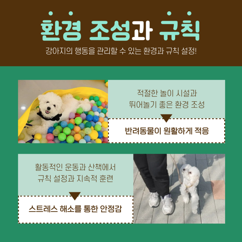 사진 3