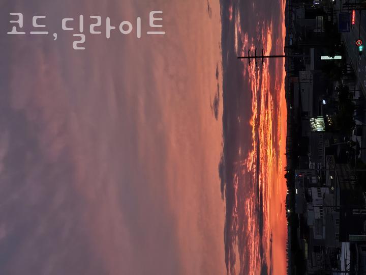 코드 딜라이트 사진 1