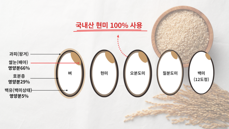  현미밥 효능 과학적근거 6가지 영양정보