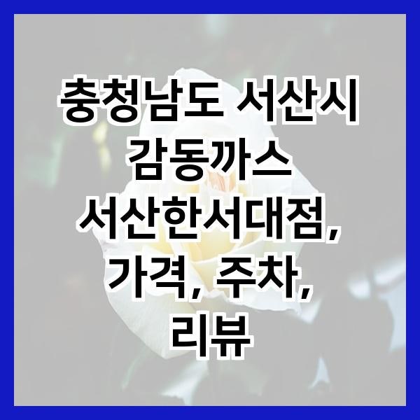 감동까스 서산한서대점 사진 2