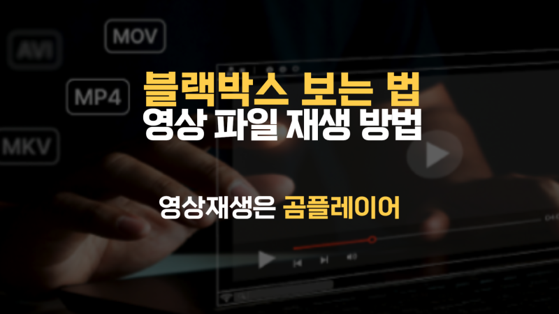 곰플레이어 블랙박스 영상 재생 방법 보는법, 전방 후방 동시에 보기 PIP 주요기능