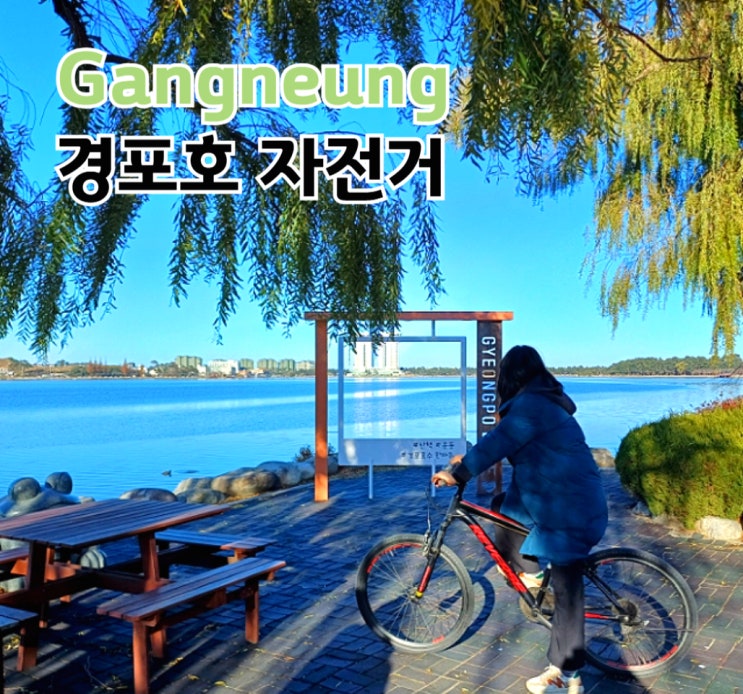 경포호 자전거 한바퀴 둘레길 코스 산책 일반 전기 4인 대여 후기!
